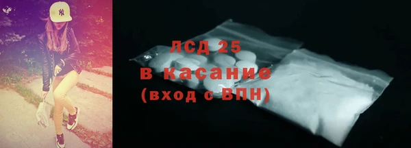 PSILOCYBIN Тында