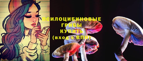 ешки Нефтекумск