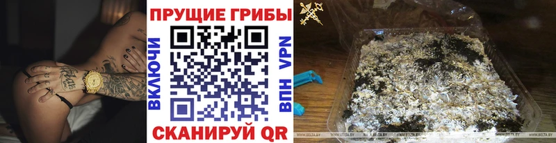 Галлюциногенные грибы Psilocybine cubensis  ОМГ ОМГ как войти  Омутнинск  цены наркотик 